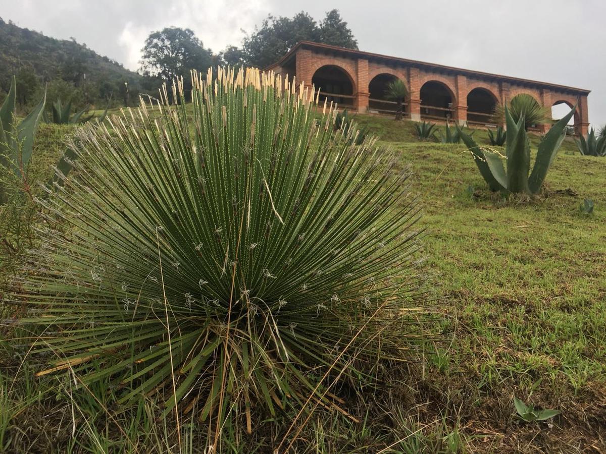Rancho Escondido Casa Goyri Hotel Tlaxco Bagian luar foto